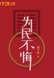 《为民不悔》小说封面