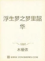 《指尖轻触年华易逝》小说封面
