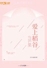 《当芒果爱上稻谷》小说封面