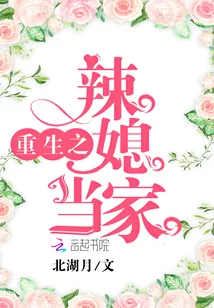 《重生之辣媳当家》小说封面