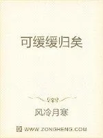 《可缓缓归矣》小说封面