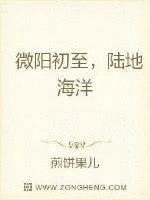 《微阳初至，陆地海洋》小说封面