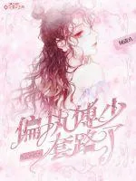 《重生后被偏执傅少套路了》小说封面