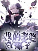 《我的老婆A爆了》小说封面