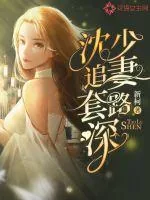 《沈少追妻套路深》小说封面