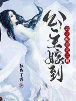 《公主嫁到:男主原是天上鹏》小说封面
