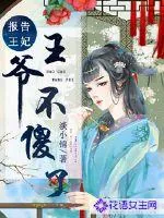 《报告王妃，王爷不傻了》小说封面