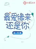 《最爱缘来还是你》小说封面