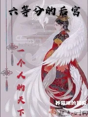 《六等分的后宫》小说封面
