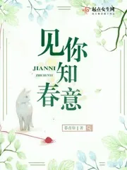 《见你知春意》小说封面