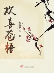 《欢喜苍梧》小说封面