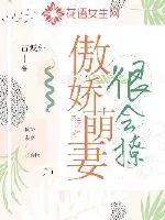 《傲娇萌妻很会撩》小说封面