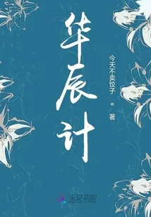 《华辰计》小说封面