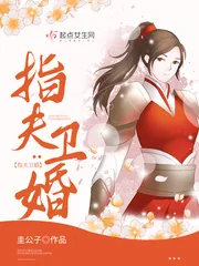 《指夫卫婚》小说封面
