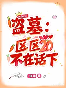 《盗墓:区区20,不在话下!》小说封面