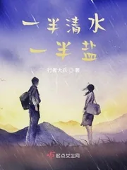《一半清水一半盐》小说封面