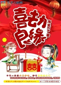 《喜劫良缘》小说封面