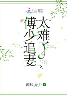 《傅少追妻太难了》小说封面