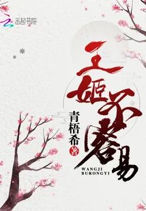 《王姬不容易》小说封面