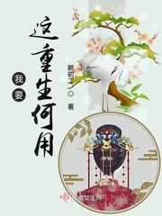 《我要这重生何用》小说封面