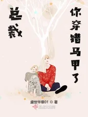 《总裁你穿错马甲了》小说封面