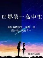 《世界第一高中生》小说封面