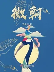《微朝》小说封面
