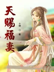 《天赐福妻》小说封面