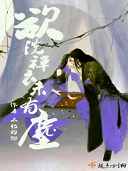 《欲洗禅衣未有尘》小说封面