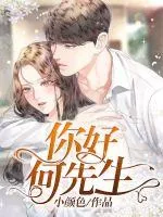 《你好，何先生》小说封面