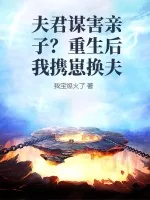 《夫君谋害亲子？重生后我携崽换夫》小说封面