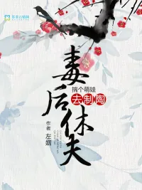 《毒后休夫：揣个萌娃去制陶》小说封面
