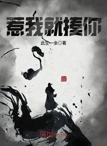 《惹我就揍你》小说封面