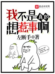 《我不是真的想惹事啊》小说封面