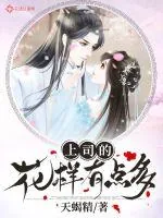 《上司的花样有点多》小说封面