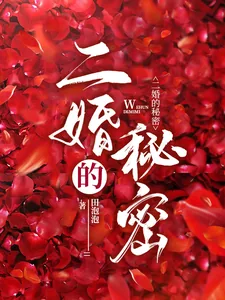 《二婚的秘密》小说封面