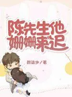 《陈先生他姗姗来迟》小说封面