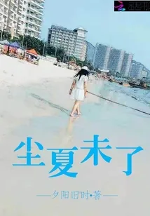 《尘夏未了》小说封面