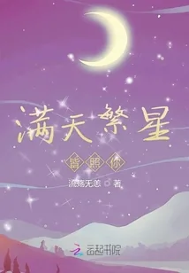 《满天繁星皆照你》小说封面
