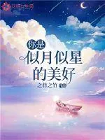 《你是似月似星的美好》小说封面