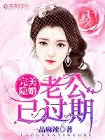 《完美隐婚，老公已过期》小说封面