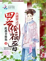 《清穿之四爷侧福晋》小说封面
