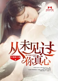 《从未见过你真心》小说封面