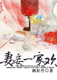 《妻妾一家欢》小说封面