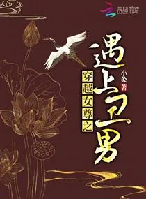 《穿越女尊之遇上丑男》小说封面