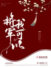 《将军我可以》小说封面