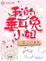 《我的垂耳兔小姐》小说封面