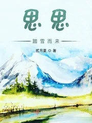 《思思踏雪而来》小说封面