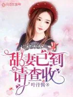 《甜妻已到请查收》小说封面