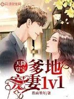 《天降双宝:爹地宠妻1v1》小说封面